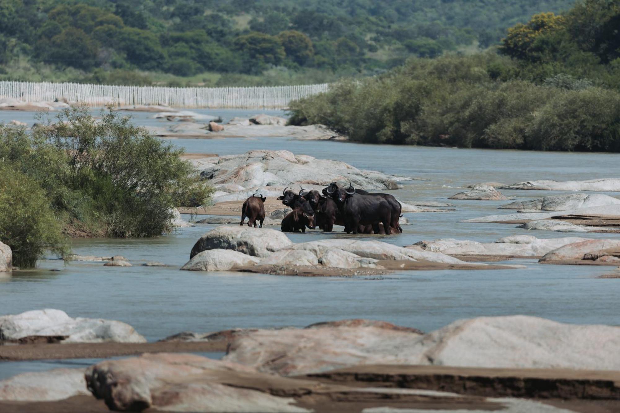 Zulu Rock Lodge - Babanango Game Reserve Ulundi Exterior foto