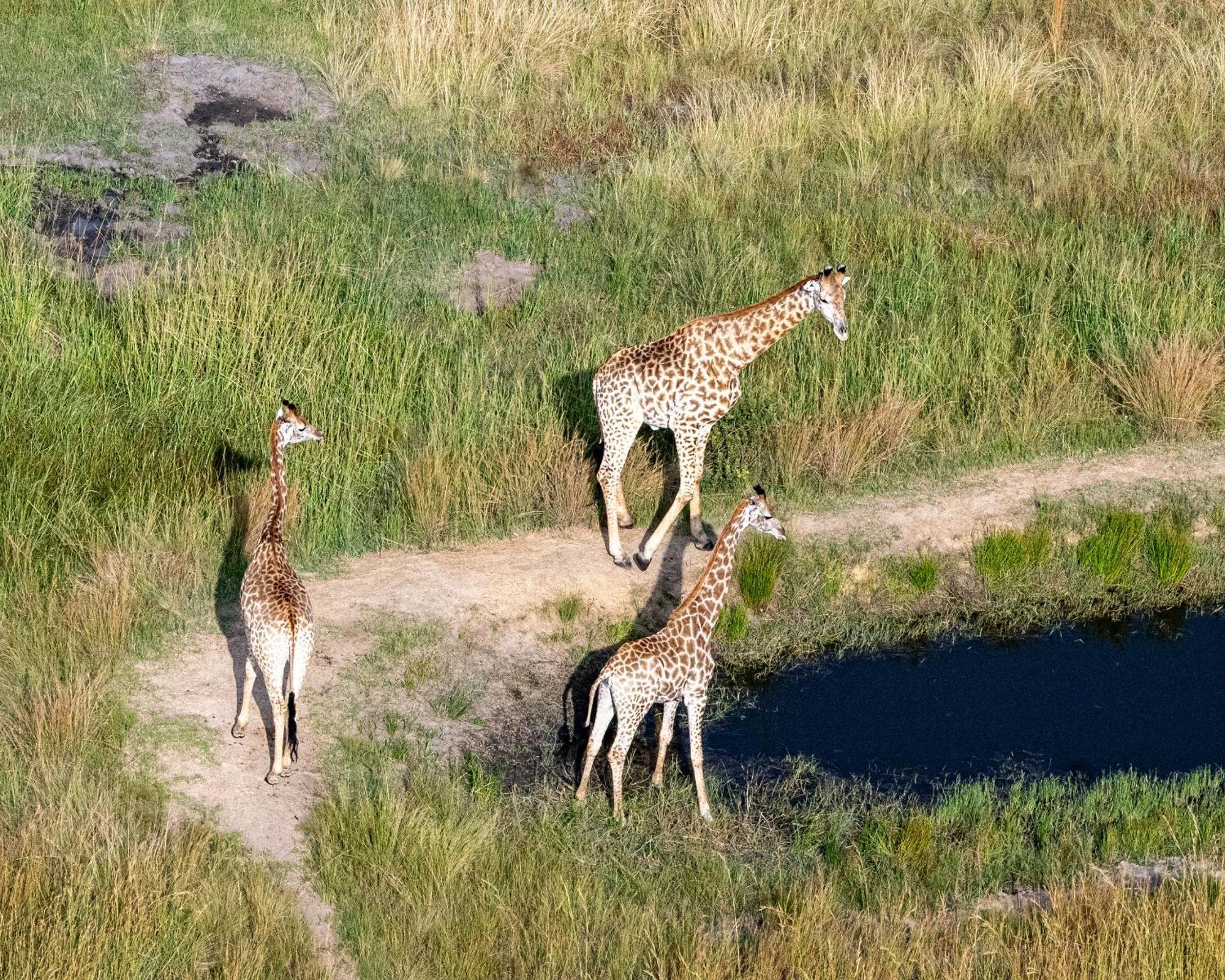 Zulu Rock Lodge - Babanango Game Reserve Ulundi Exterior foto