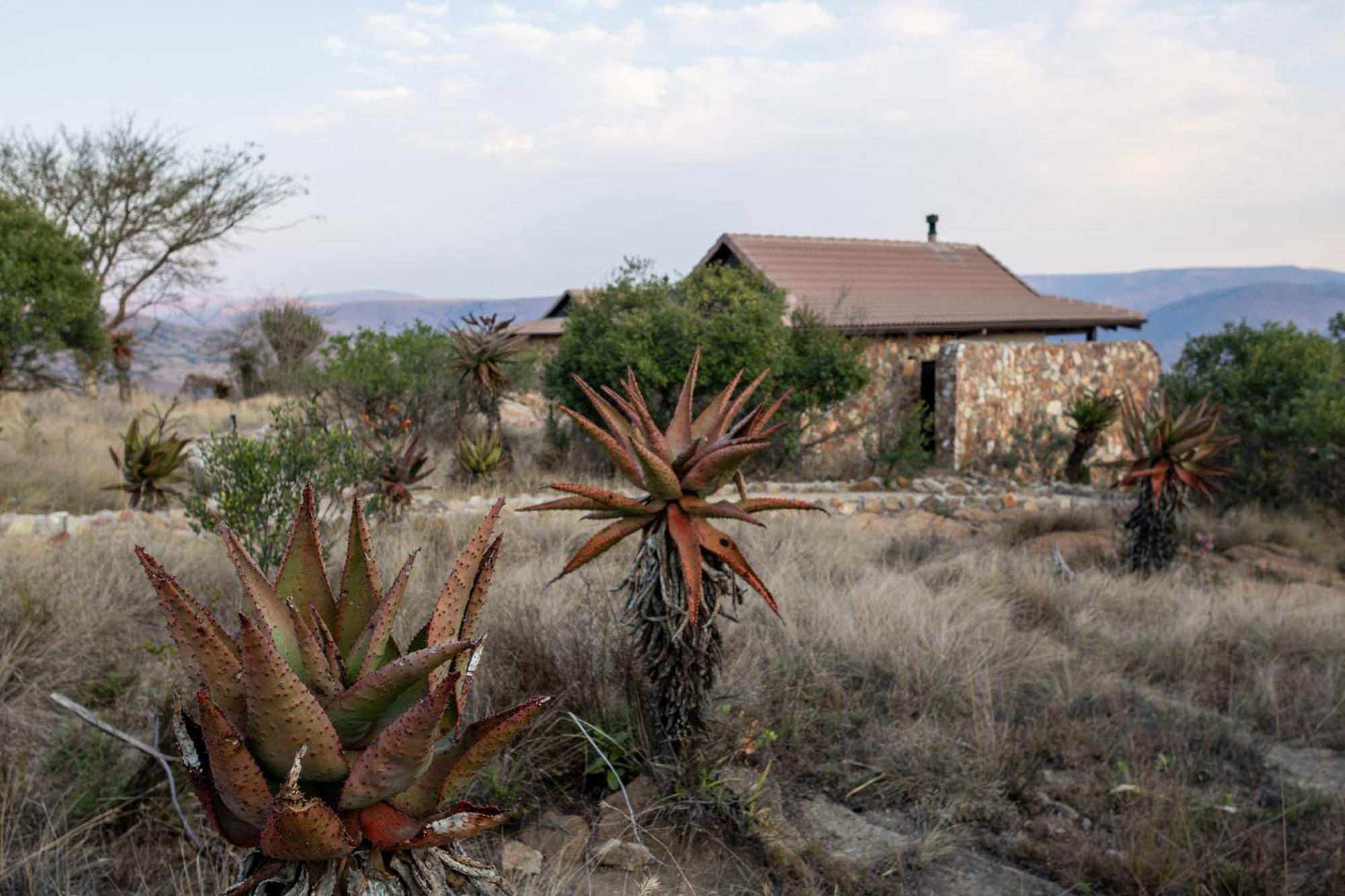 Zulu Rock Lodge - Babanango Game Reserve Ulundi Exterior foto